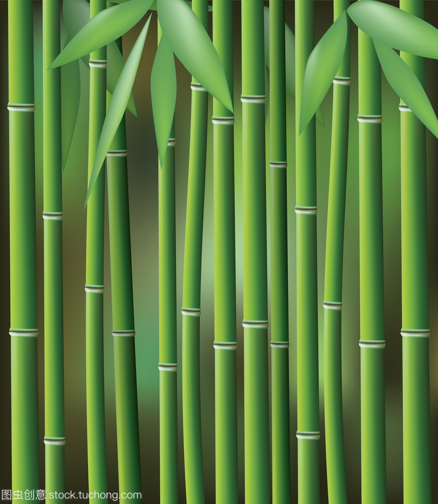 竹、 矢量图