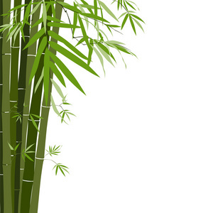 竹绿色自然背景上